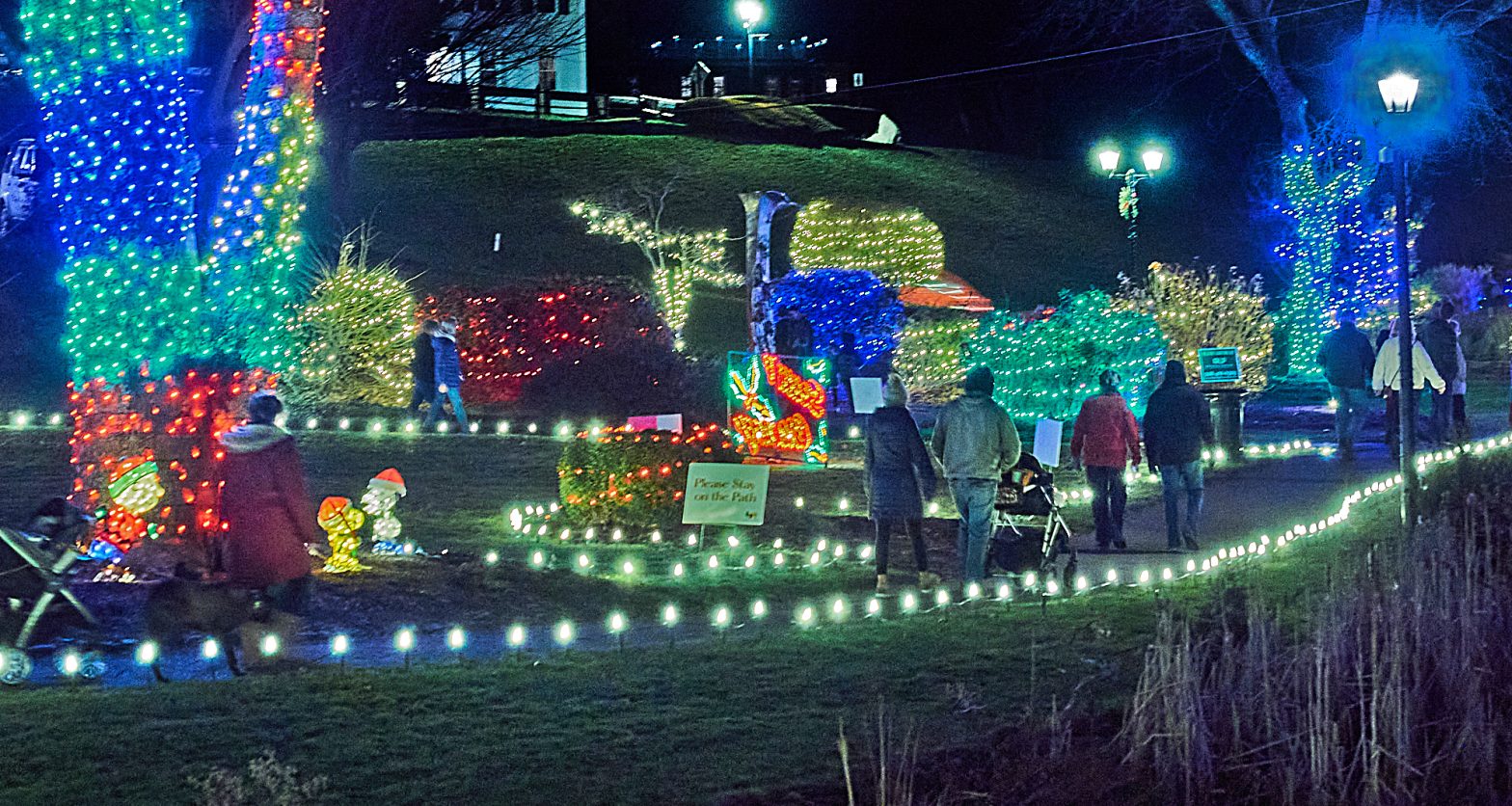 Bright idea transforms Brewster Gardens into a holiday attraction ...