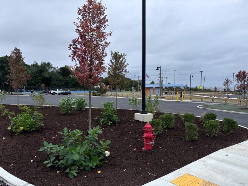 An afternoon in the park: Celebrate the official opening of Stephens Field