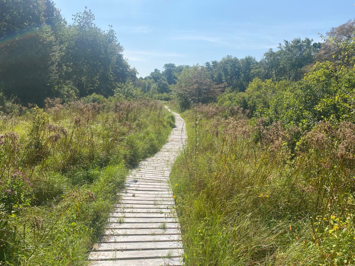 At Manomet’s Tidmarsh sanctuary, nature puts on a spectacular fall show