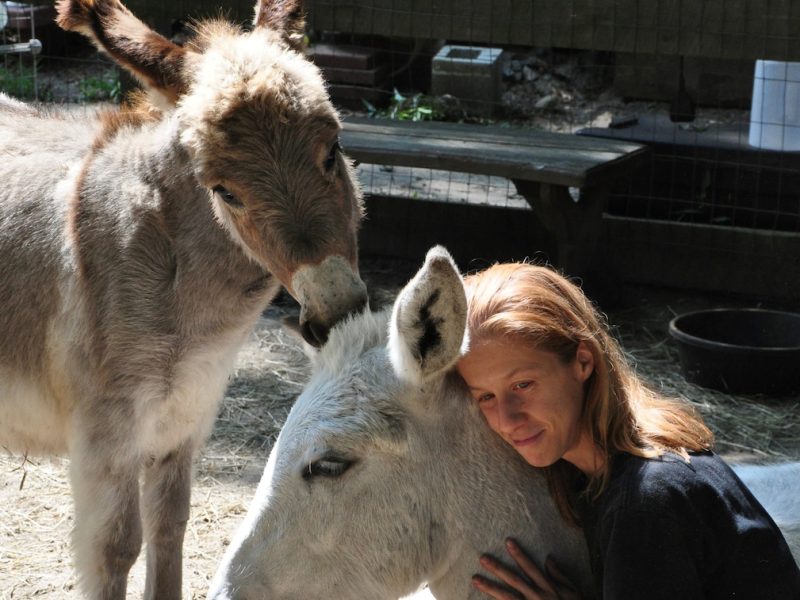 Love animals? This rescue farm will train you to nurture them.