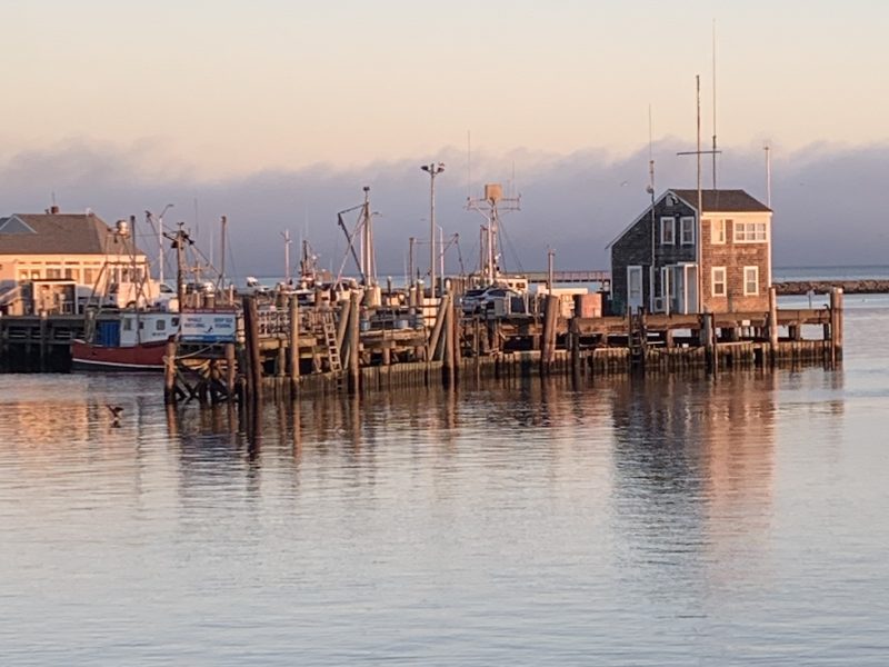 I like seafood, and I like NOAA, too